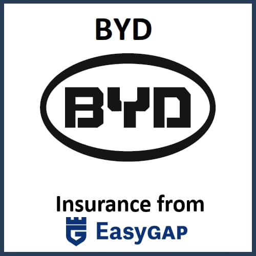 EasyGap products for BYD