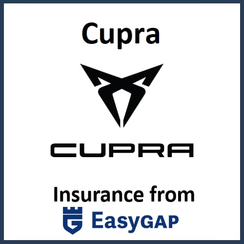 Easy Gap products for Cupra